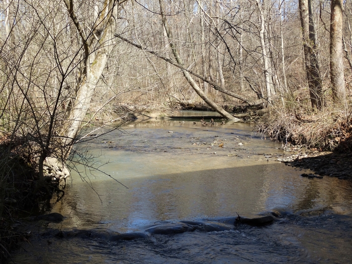 Mink Hollow Covered Bridge