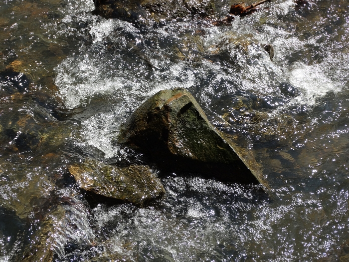 Mink Hollow Covered Bridge