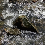 Mink Hollow Covered Bridge