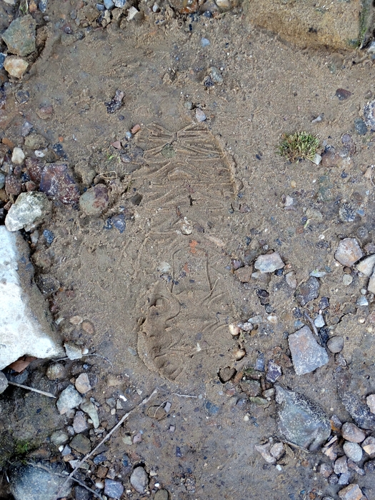My Footprint
