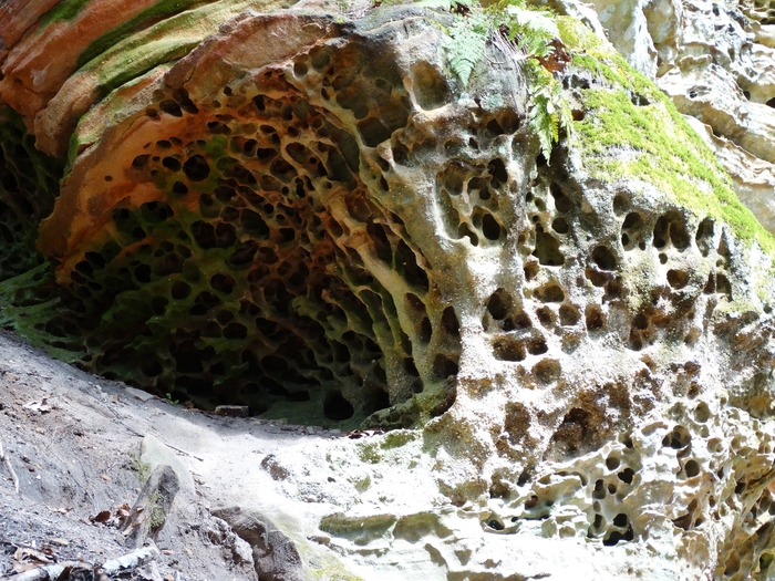Whispering Cave