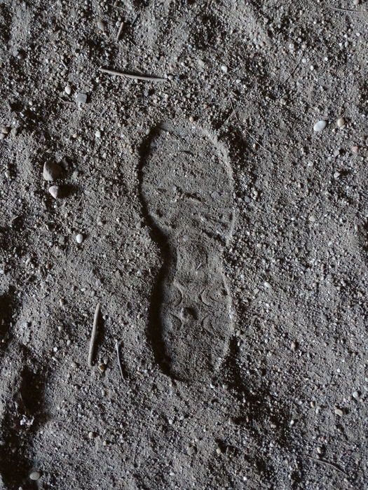 My Footprint
