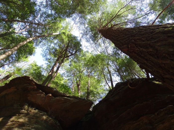 Chapel Cave