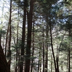 Chapel Cave