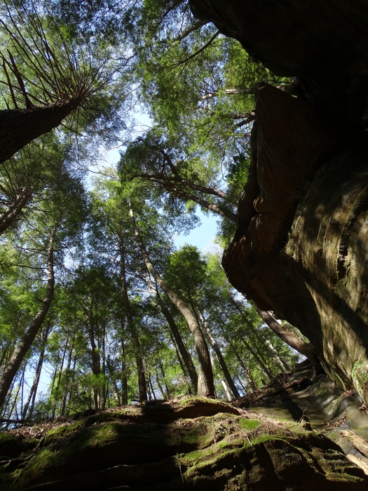 Chapel Cave