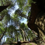 Chapel Cave