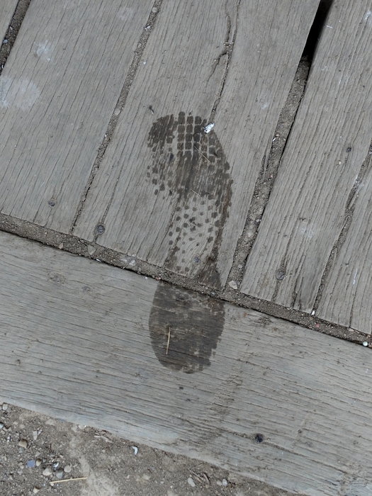 My Footprint