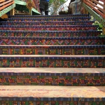Randyland