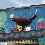 Randyland