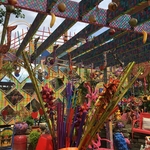 Randyland