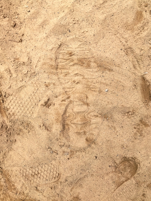 My Footprint