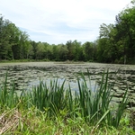 Wahkeena Nature Preserve