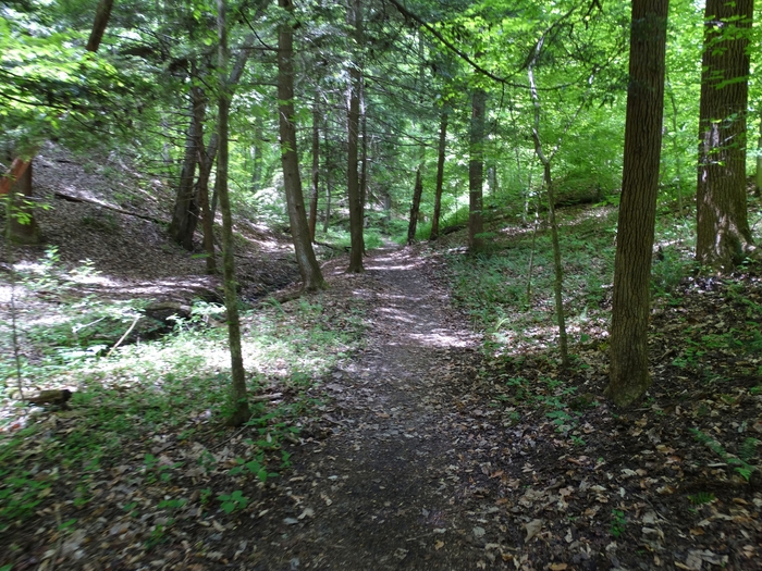 Wahkeena Nature Preserve