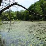Wahkeena Nature Preserve