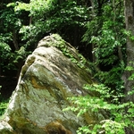 Wahkeena Nature Preserve