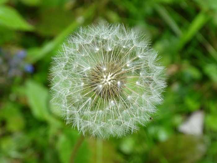 Wahkeena Nature Preserve
