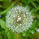 Wahkeena Nature Preserve