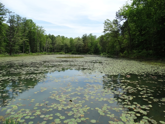 Wahkeena Nature Preserve