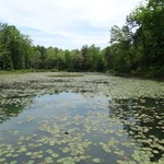Wahkeena Nature Preserve