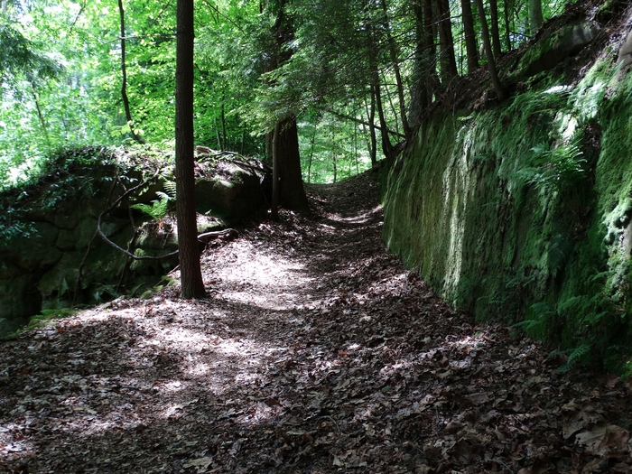 Wahkeena Nature Preserve