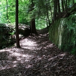 Wahkeena Nature Preserve
