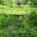 Wahkeena Nature Preserve