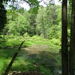 Wahkeena Nature Preserve