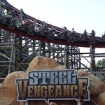 Steel Vengeance