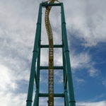 >Wicked Twister