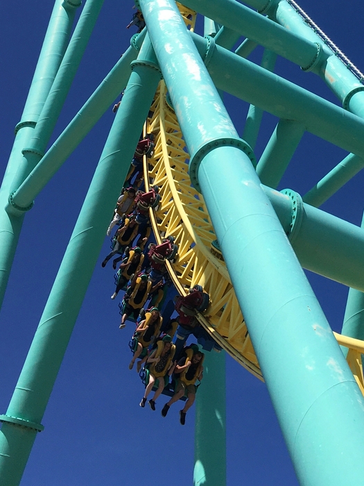 Wicked Twister