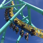 >Wicked Twister
