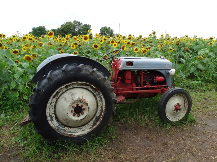 Twenty-Two Acres Farm