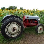 >Twenty-Two Acres Farm