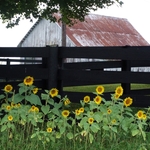 >Twenty-Two Acres Farm