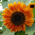 >Twenty-Two Acres Farm