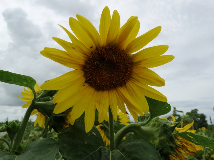 Twenty-Two Acres Farm