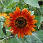 >Twenty-Two Acres Farm