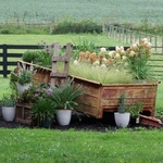 >Twenty-Two Acres Farm