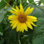 >Twenty-Two Acres Farm