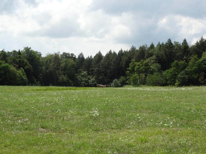 Flight 93 National Memorial