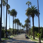 Beverly Hills