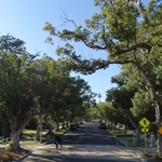 Beverly Hills