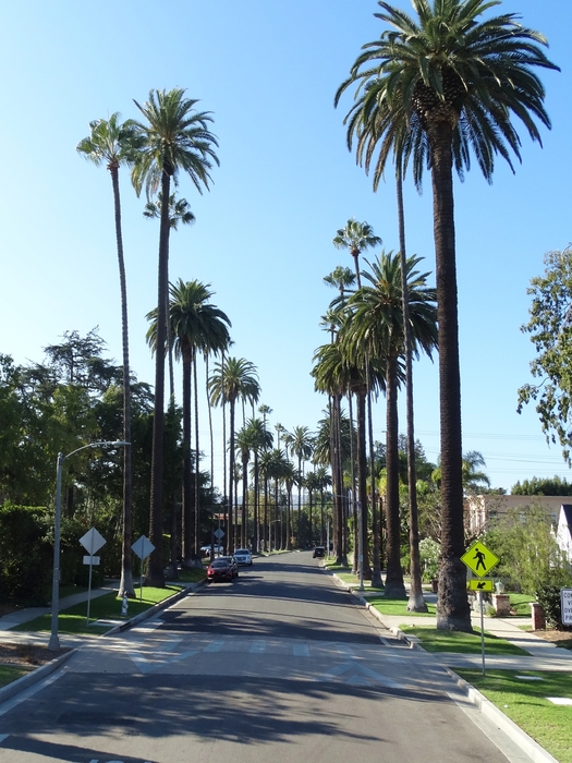 Beverly Hills