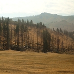 California