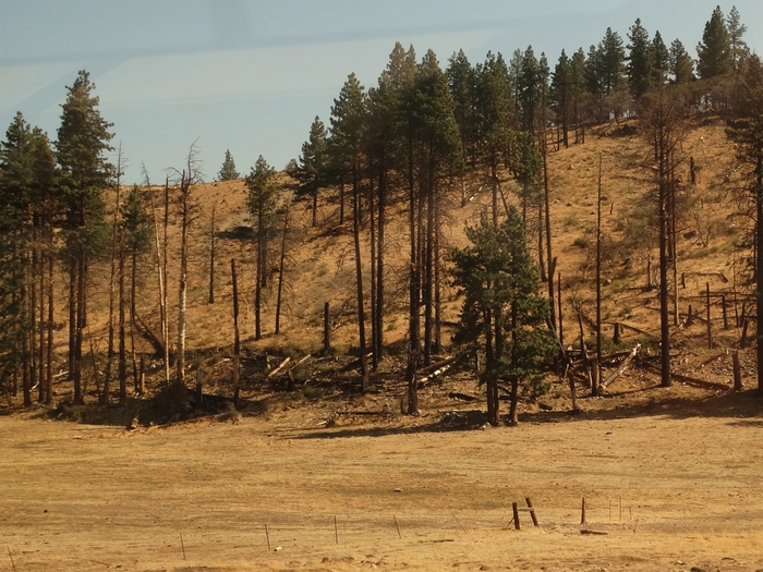 California