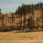 California