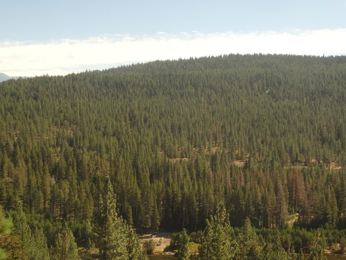 Donner Pass