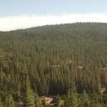 Donner Pass