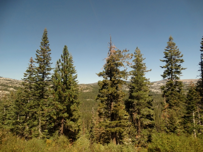 Sierra Nevada Mountains