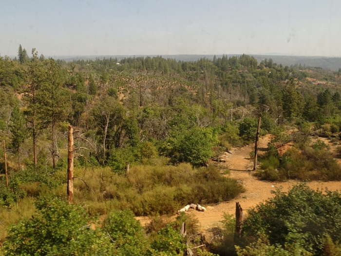 Sacramento Valley